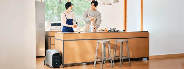 DELTA 3 Ultra Plus_使える家電の目安